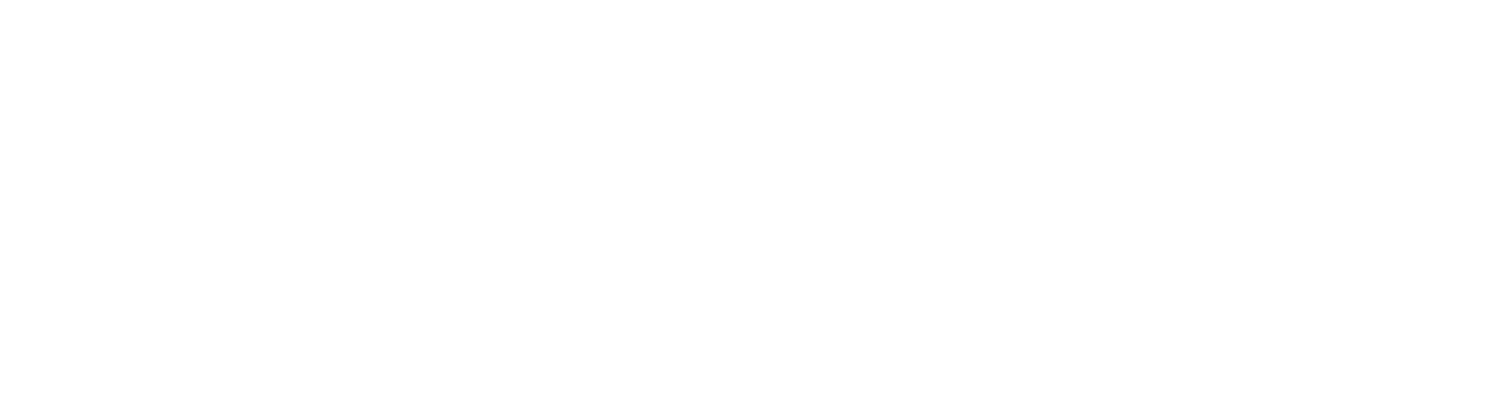 Affluence Business Inc